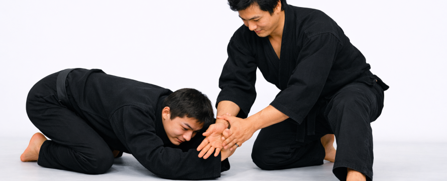 Main image of Hapkido Polska
