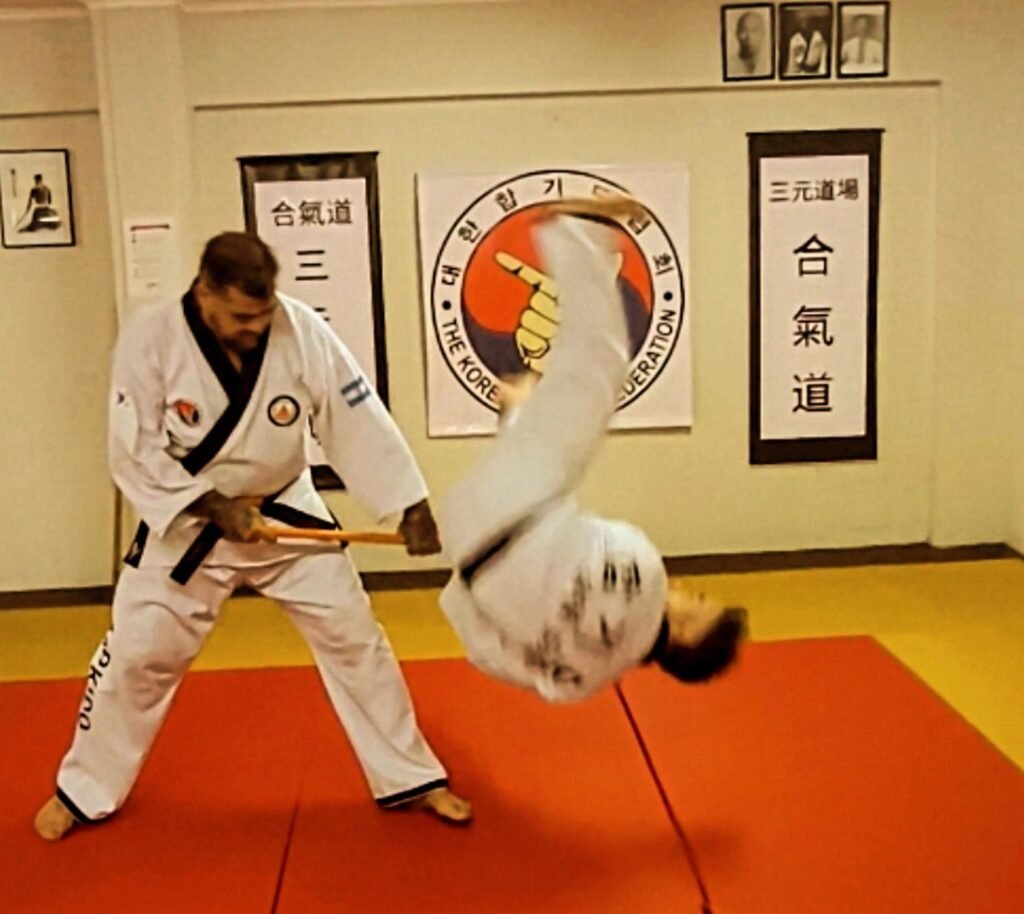 Main image of Hapkido Sam Won Dojang