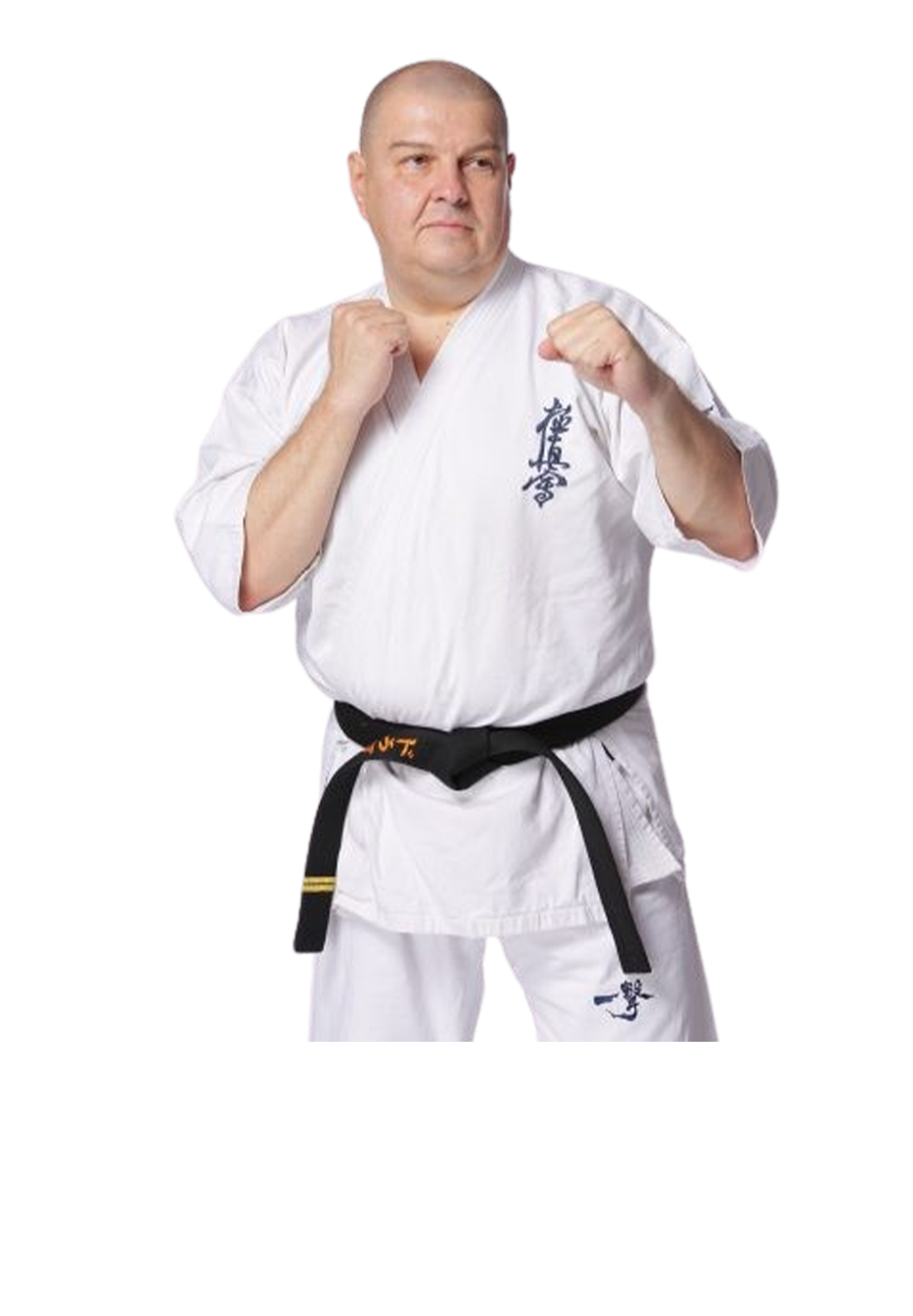 Main image of Harmony Dojo Pipera