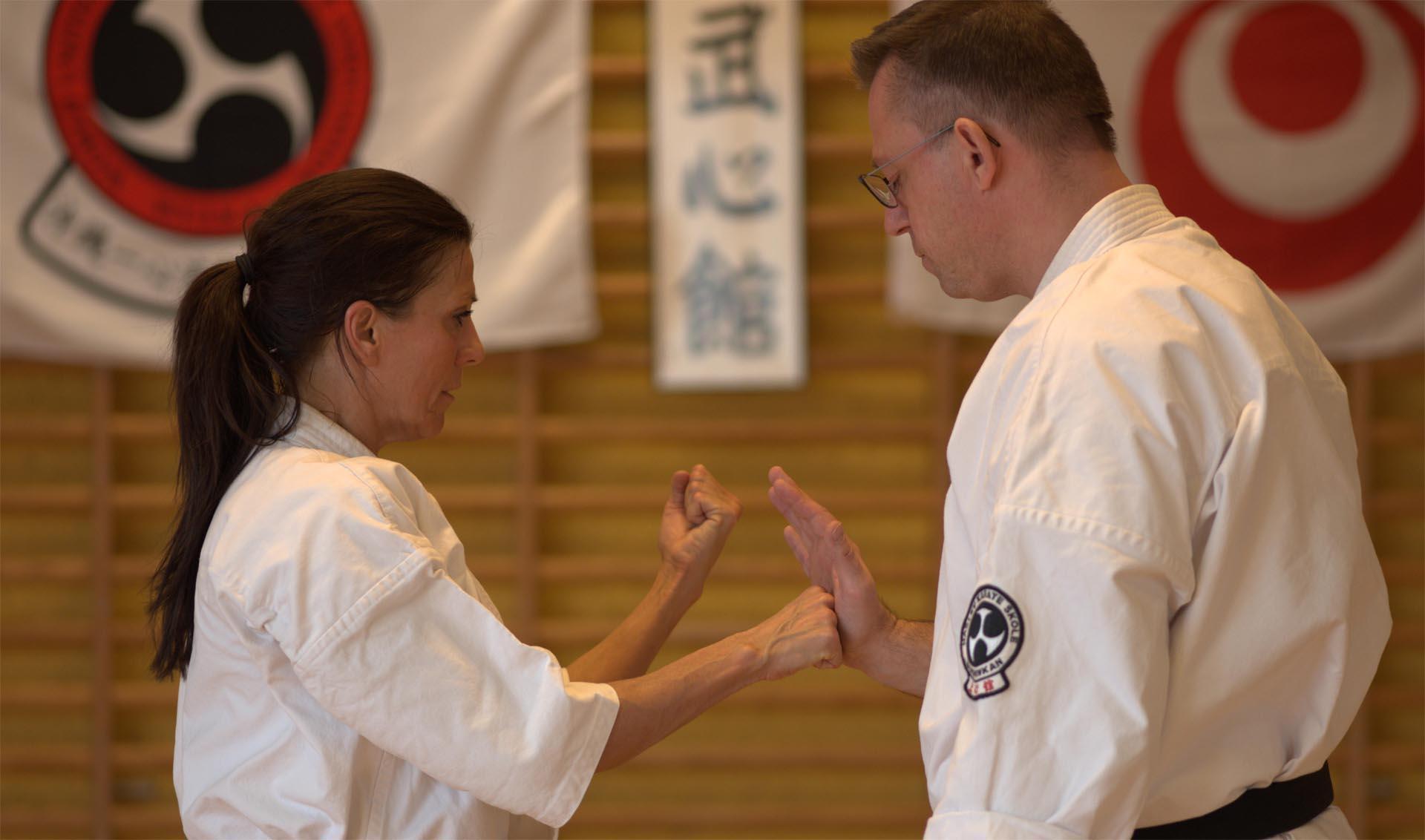 Main image of Haslev Karate Skole - Bushinkan