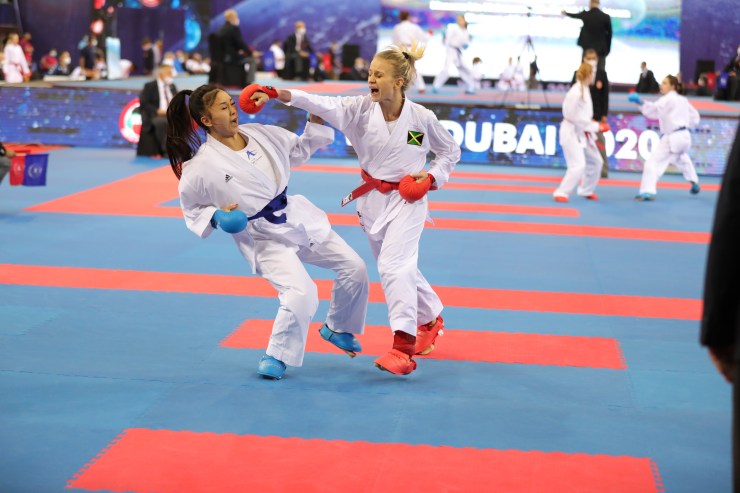 Main image of Hayabusa Karate in Vancouver