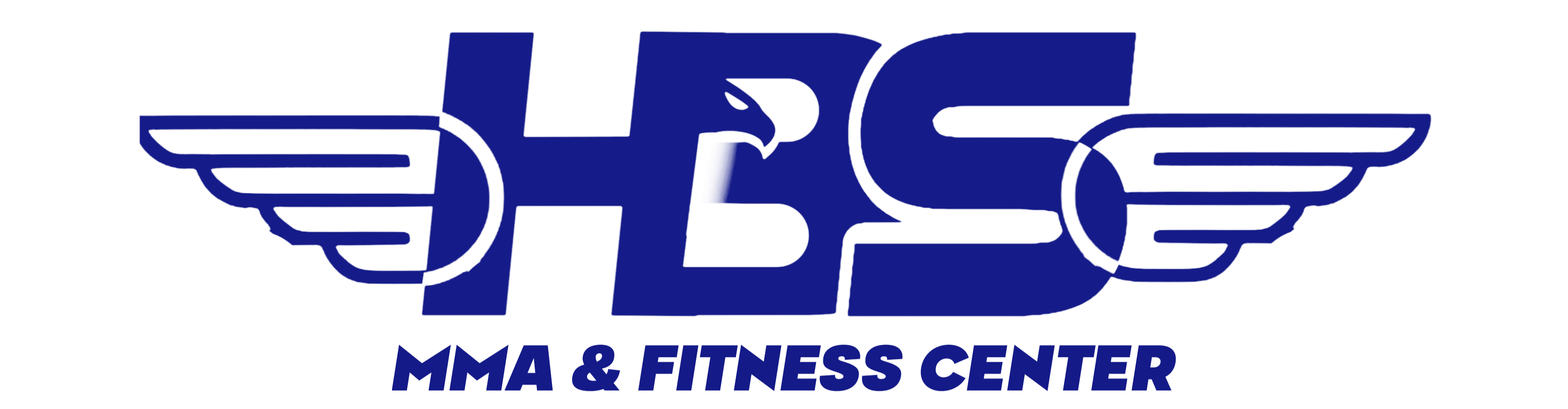 HBS MMA and Fitness Center