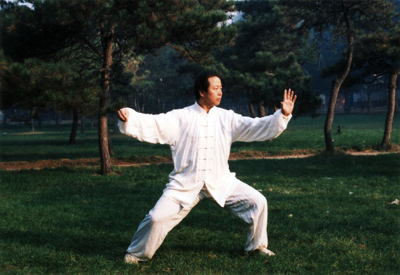 Main image of Hebei Chinese Martial Arts Institute