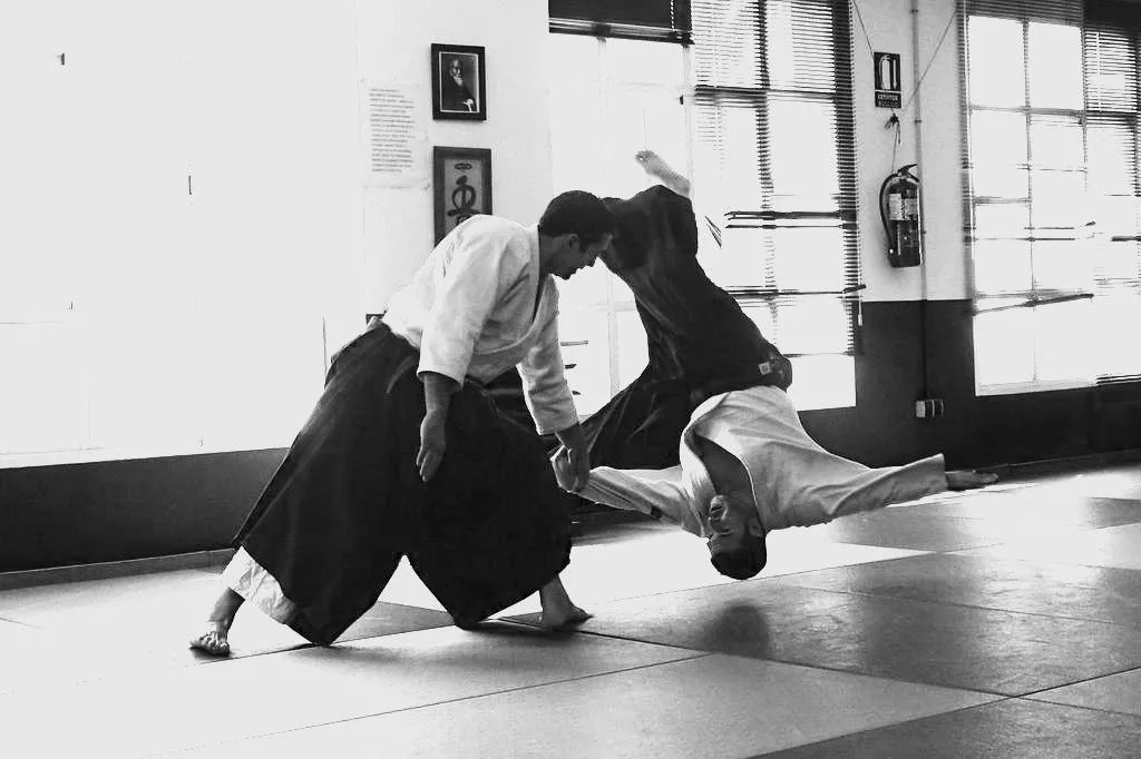 Main image of Heijoshin Aikido