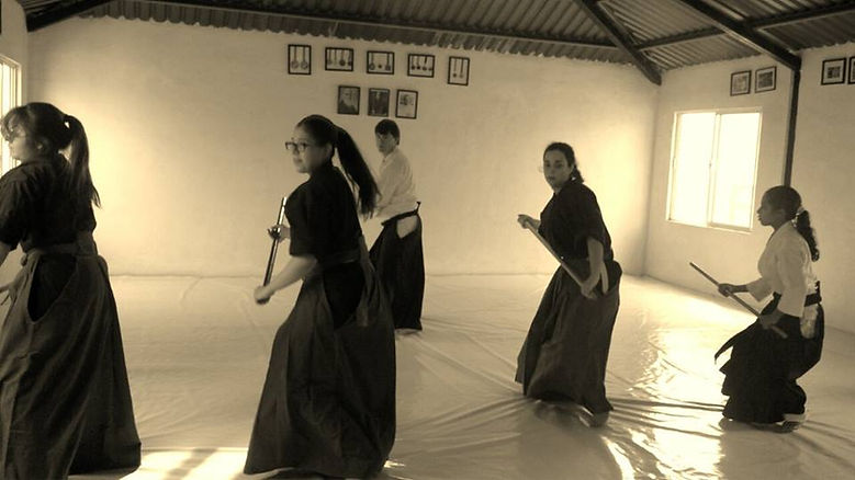 Main image of Heiwa Sei Ryu Kenjutsu y Aikido