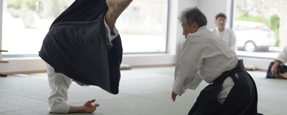 Main image of Hellenic Inochikan Aikikai