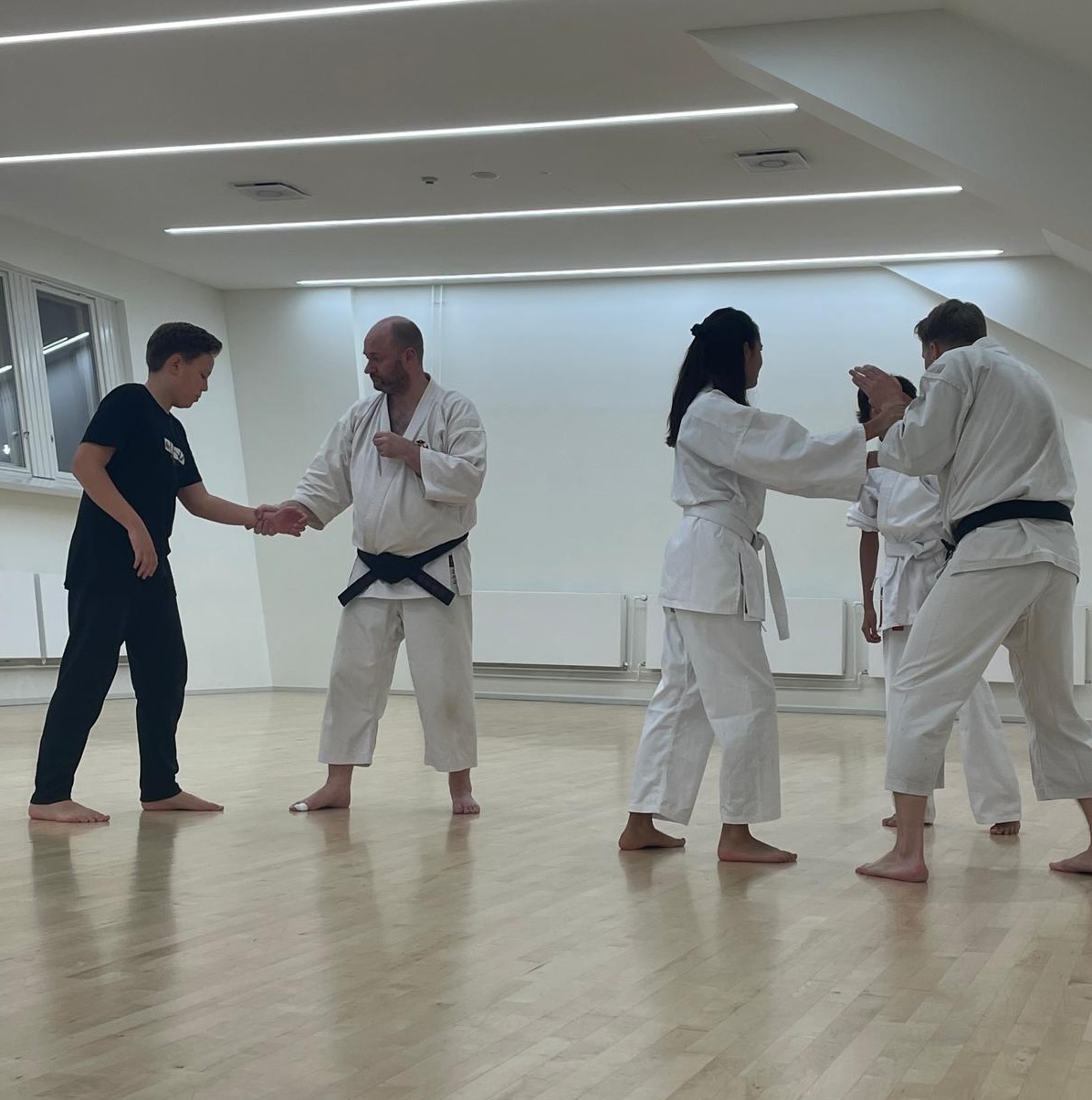 Main image of Helsinki Shorinji Kempo Ry