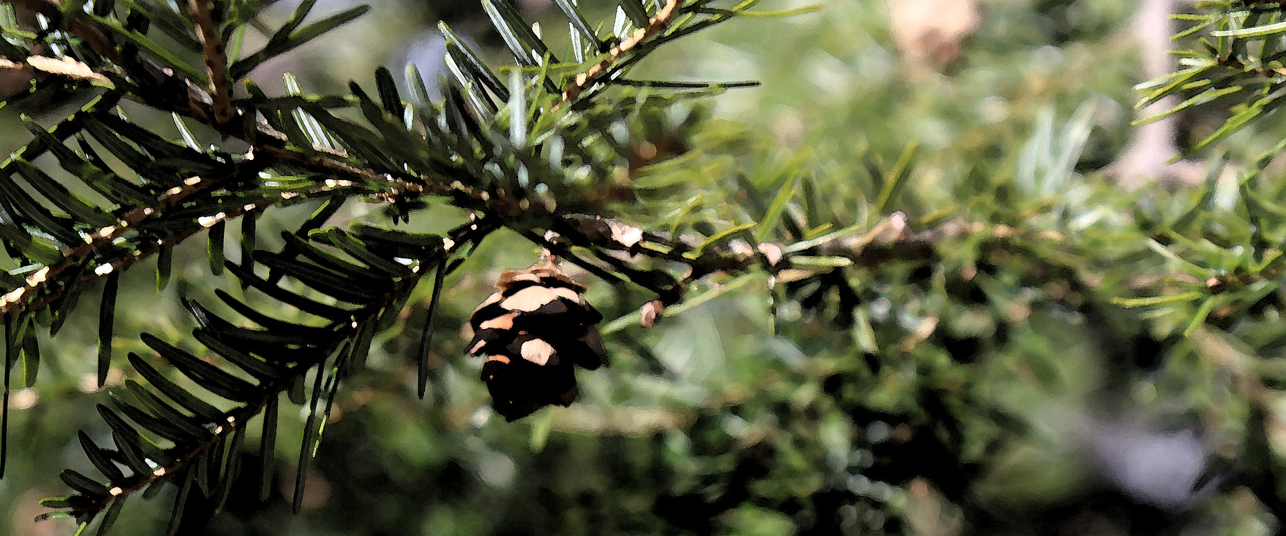 Main image of Hemlock Bluffs Aikido