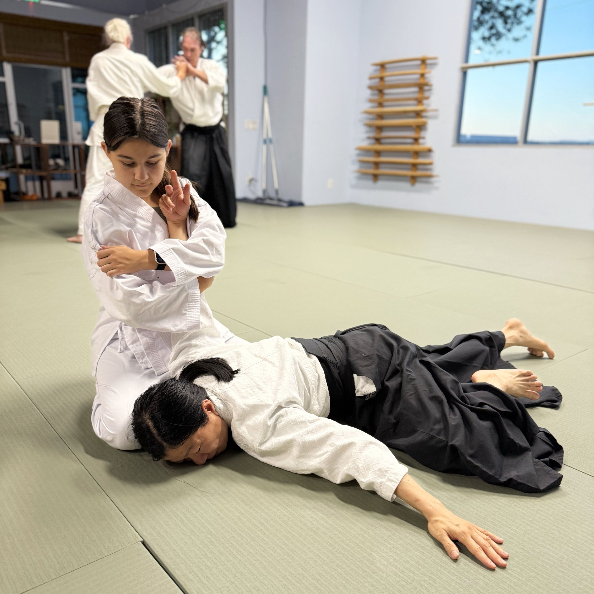 Main image of Henderson Aikido and Yoga