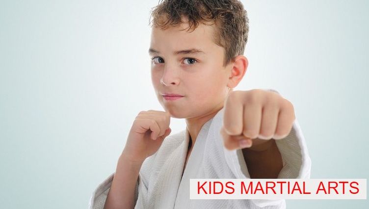 Main image of Hendrix Essential Martial Arts Greensboro