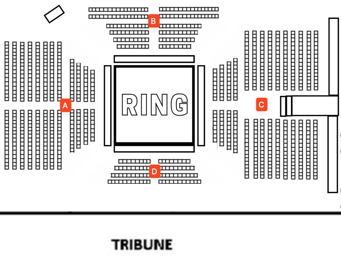 Main image of Herlev Fight Night