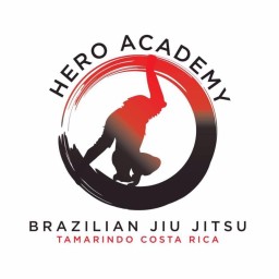 Main image of HERO Academy