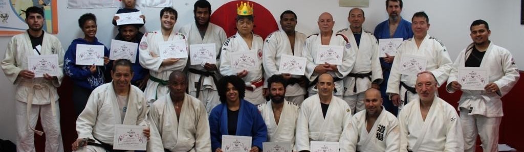 Main image of Hiromitsu Judo
