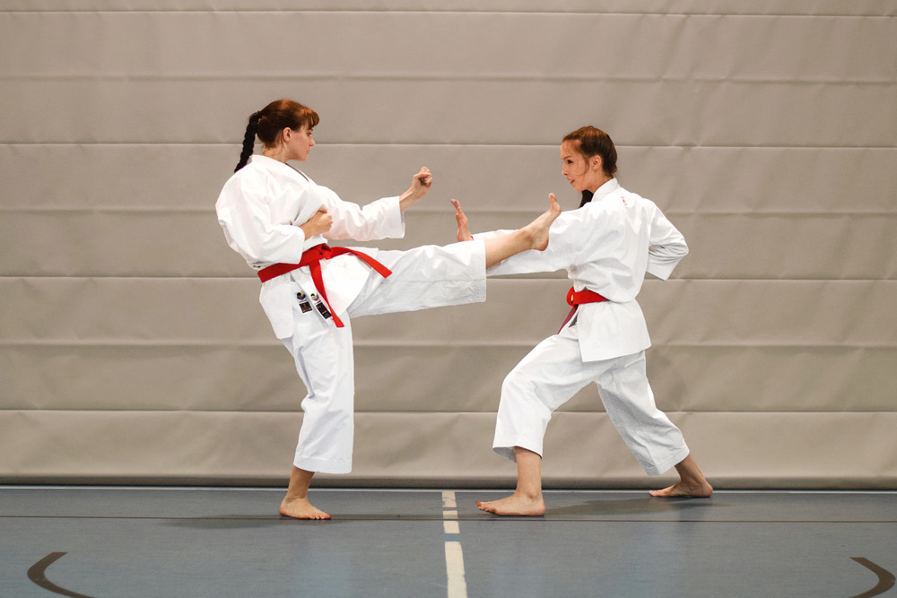 Main image of Hisatake Karate-Dojo Höhenkirchen bei München