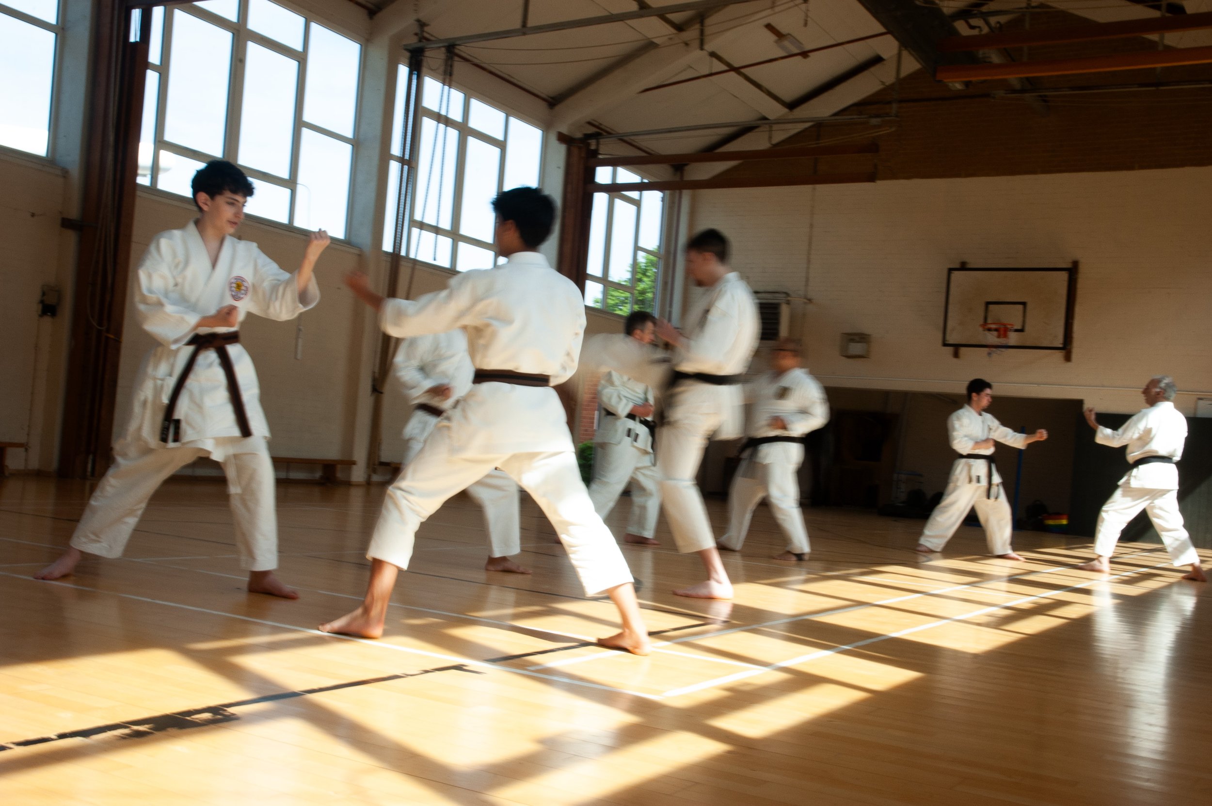Main image of Hitchin Karate Club
