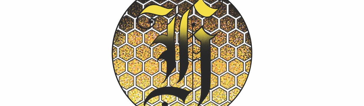 Main image of Hive brazilian jiujitsu
