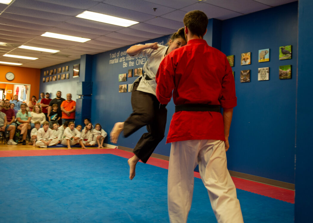 Main image of HiYa! Karate
