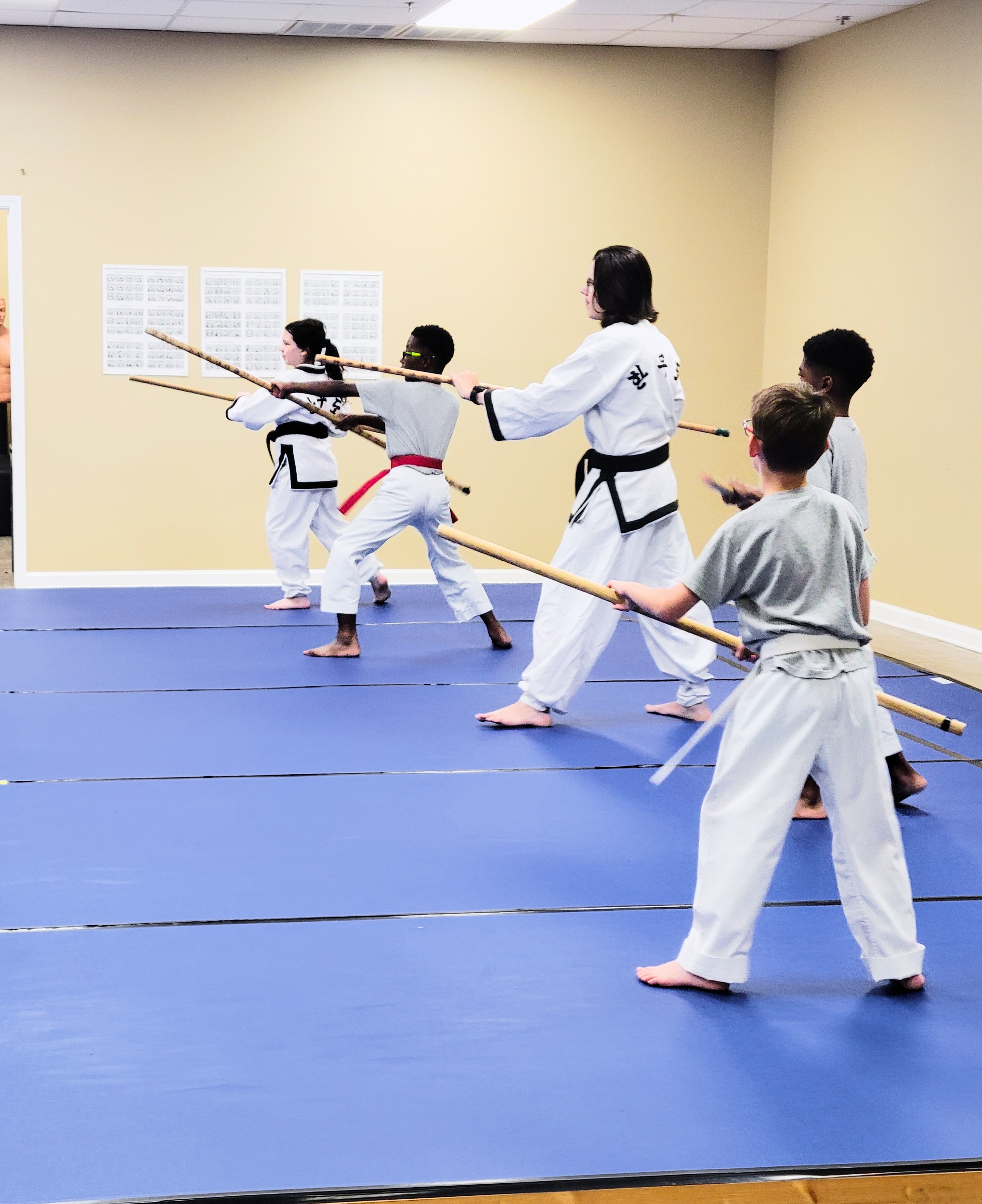 Main image of Ho Shin Academy of Martial Arts