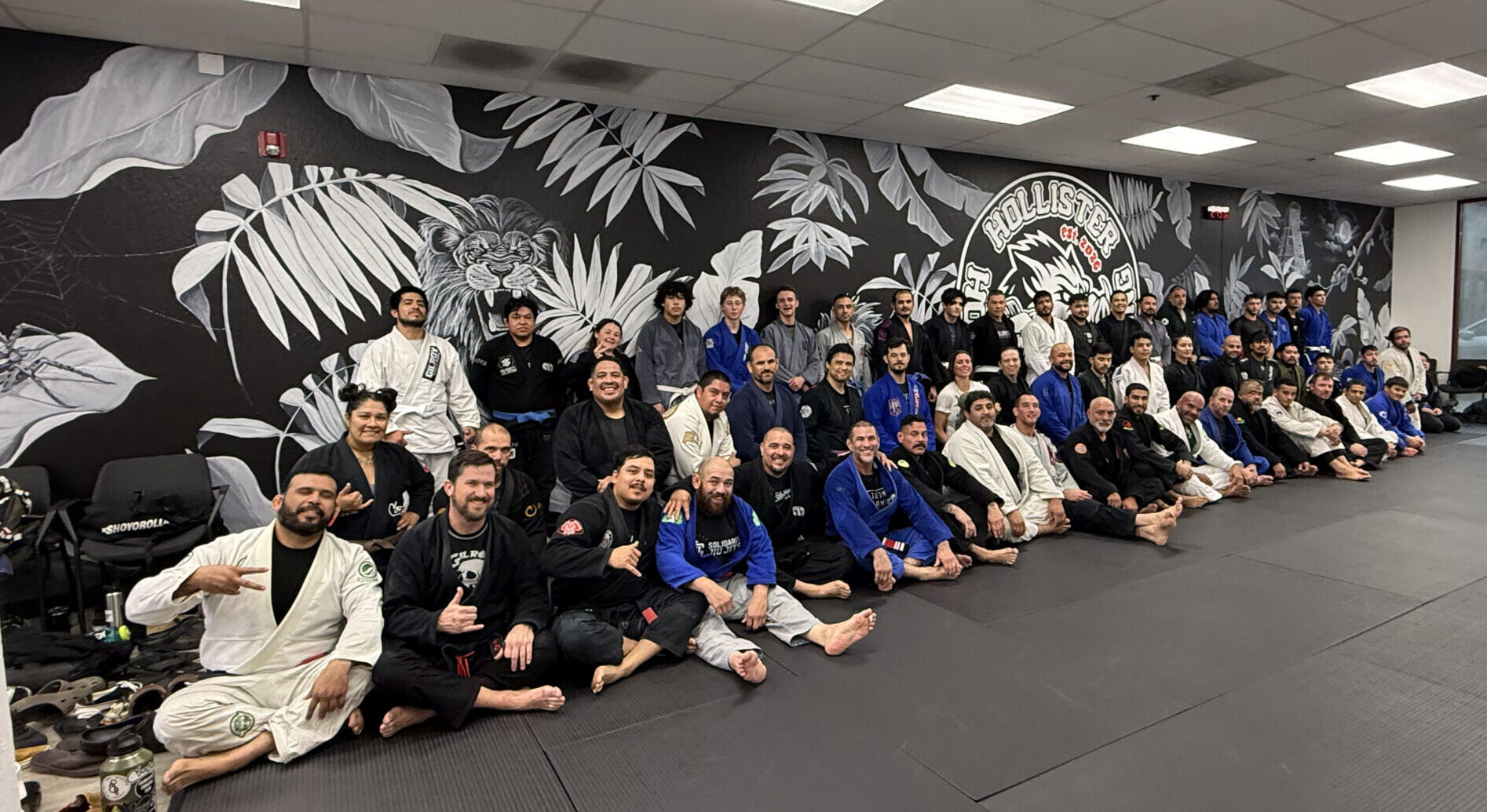 Main image of Hollister House Of Grappling