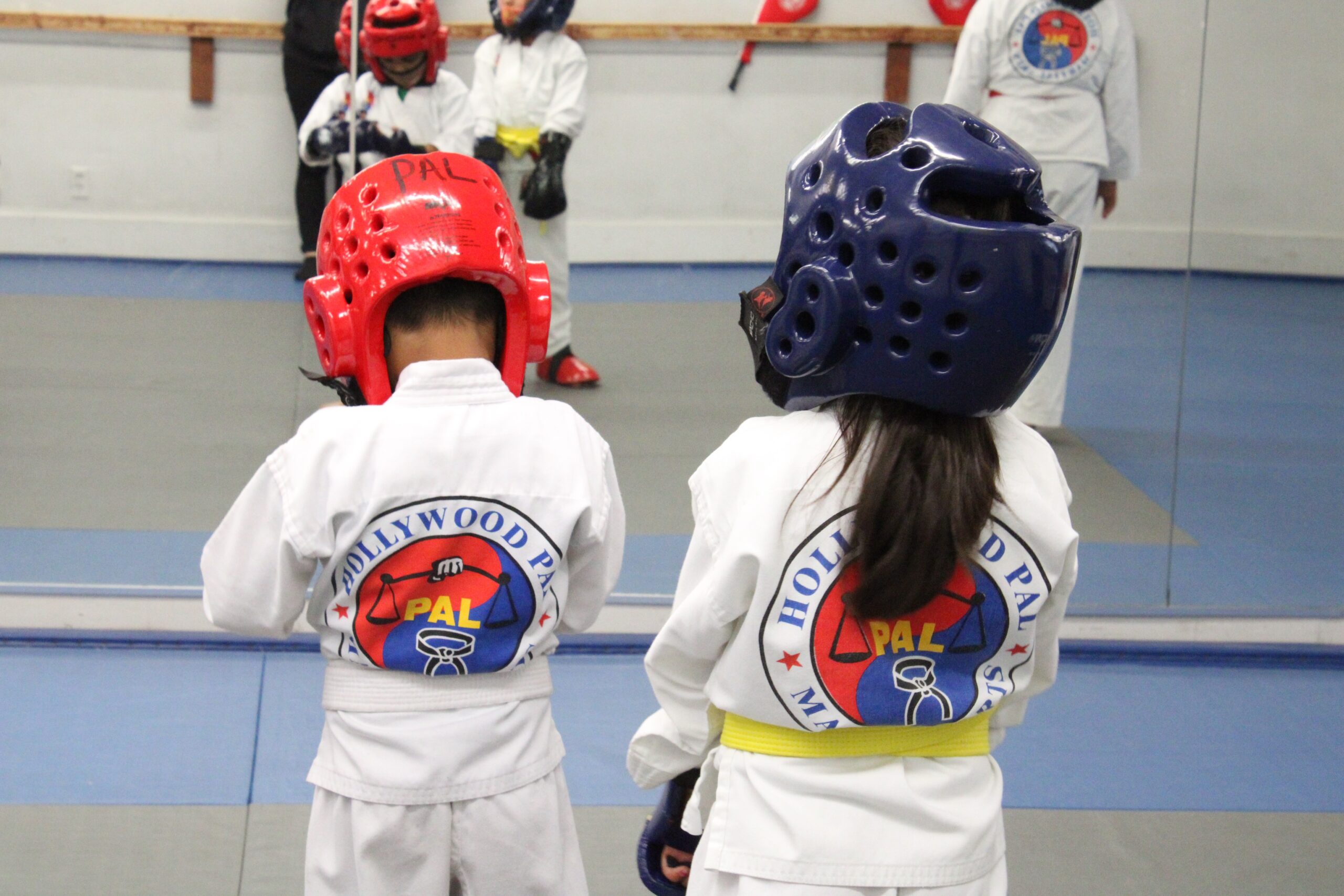 Main image of Hollywood PAL Martial Arts