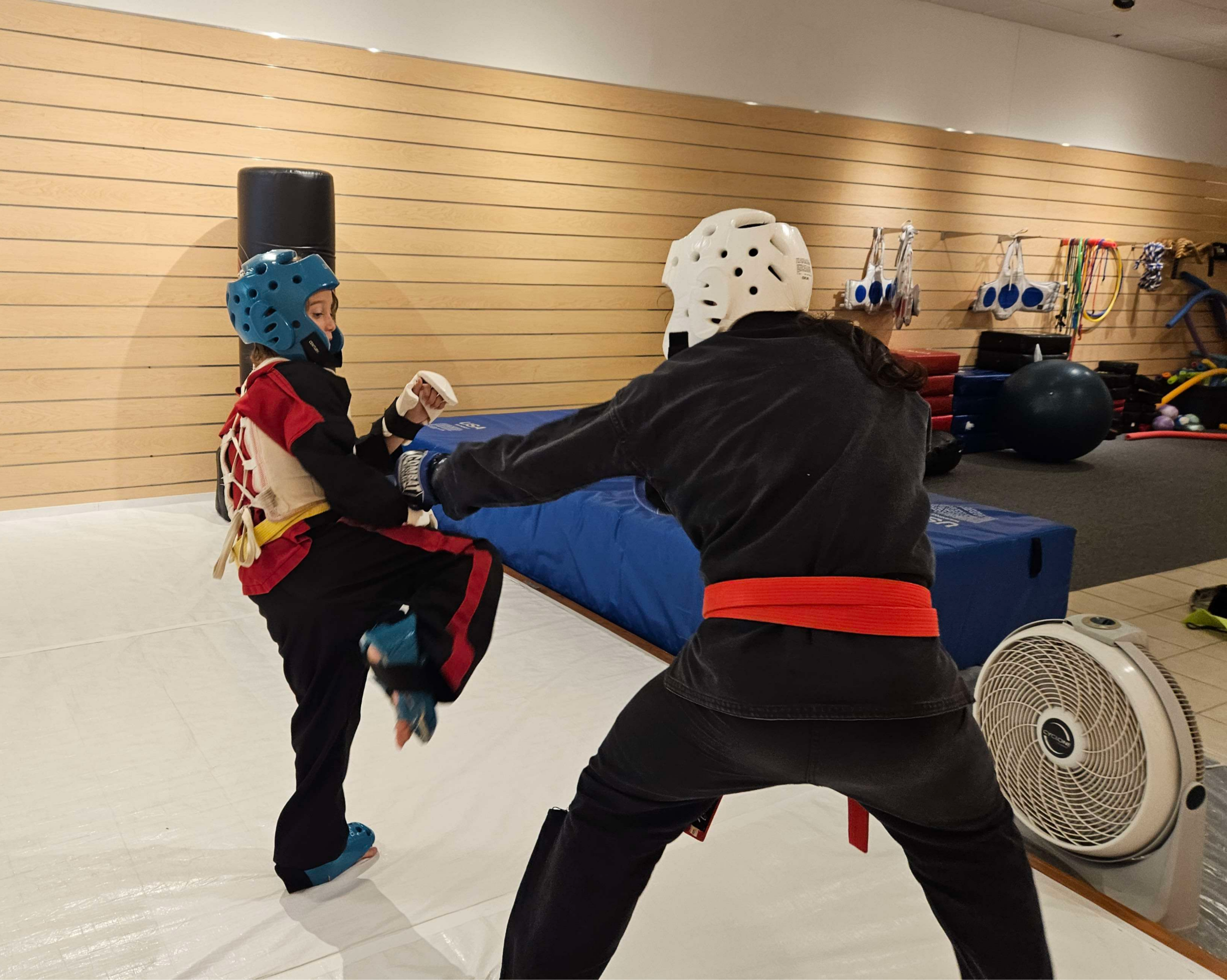 Holm Martial Arts