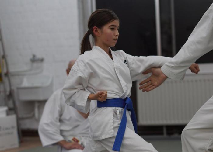 Main image of Honbu Dojo