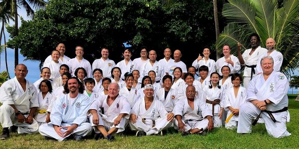 Main image of Honolulu Uechi-ryu Karate-do Club