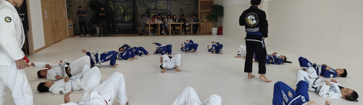 Main image of HONOR JIU JITSU ACADEMY