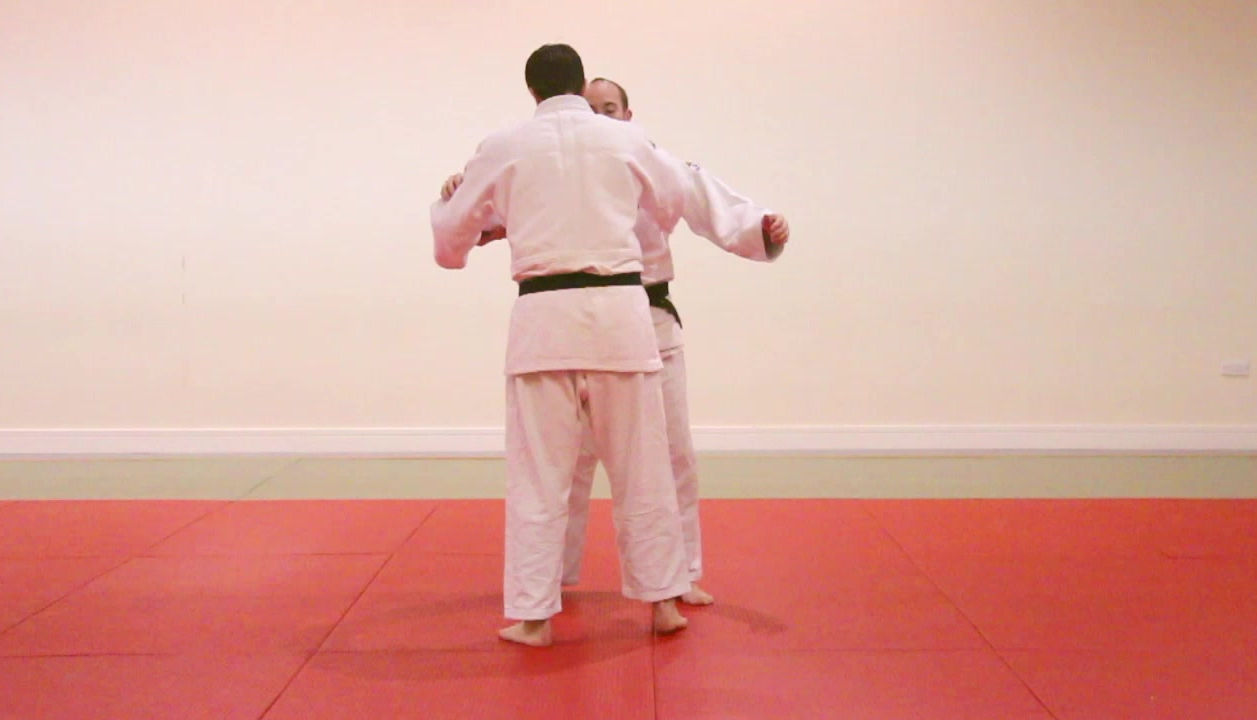 Main image of Honto Judo