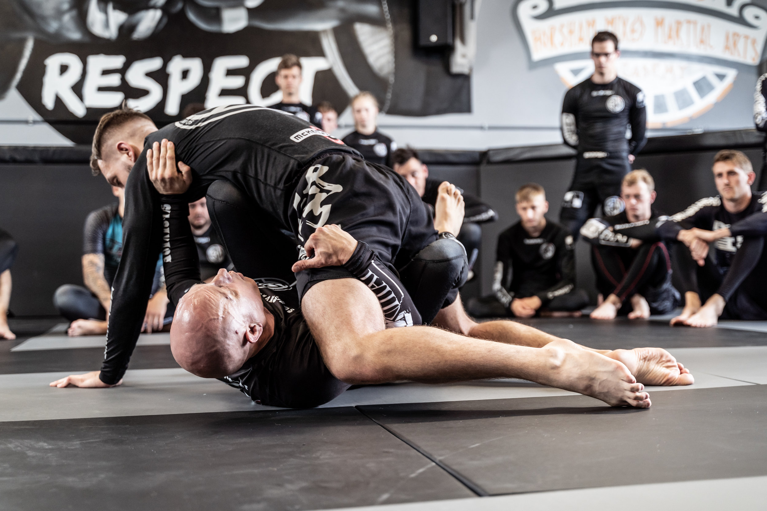 Main image of Horsham brazilian jiu-jitsu