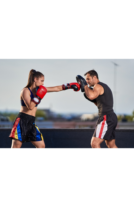 House of Lions Boxing gym academy image