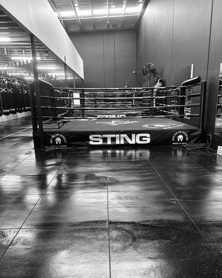 Main image of House of Stoush Boxing Academy