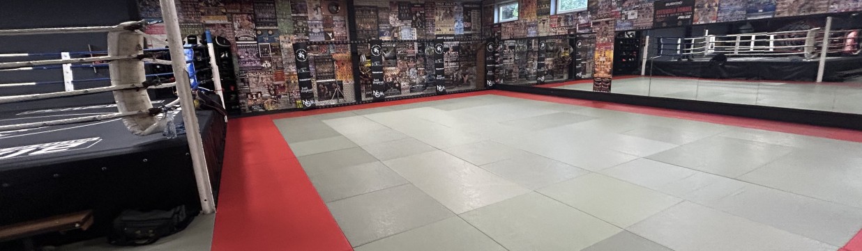 Main image of Hoyer's Gym BJJ