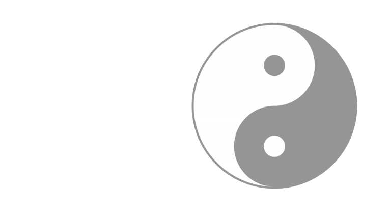 Main image of Hoyer Wushu