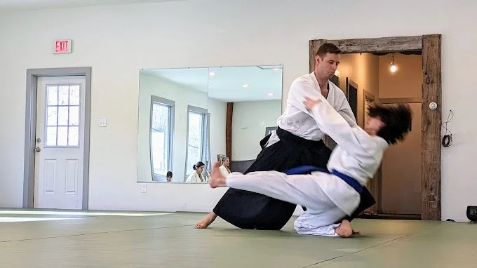 Main image of Hudson Valley Aikido