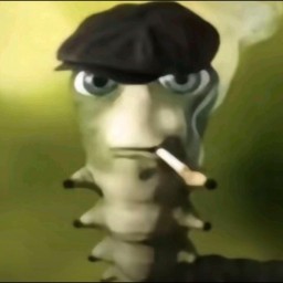 Main image of Huesos228