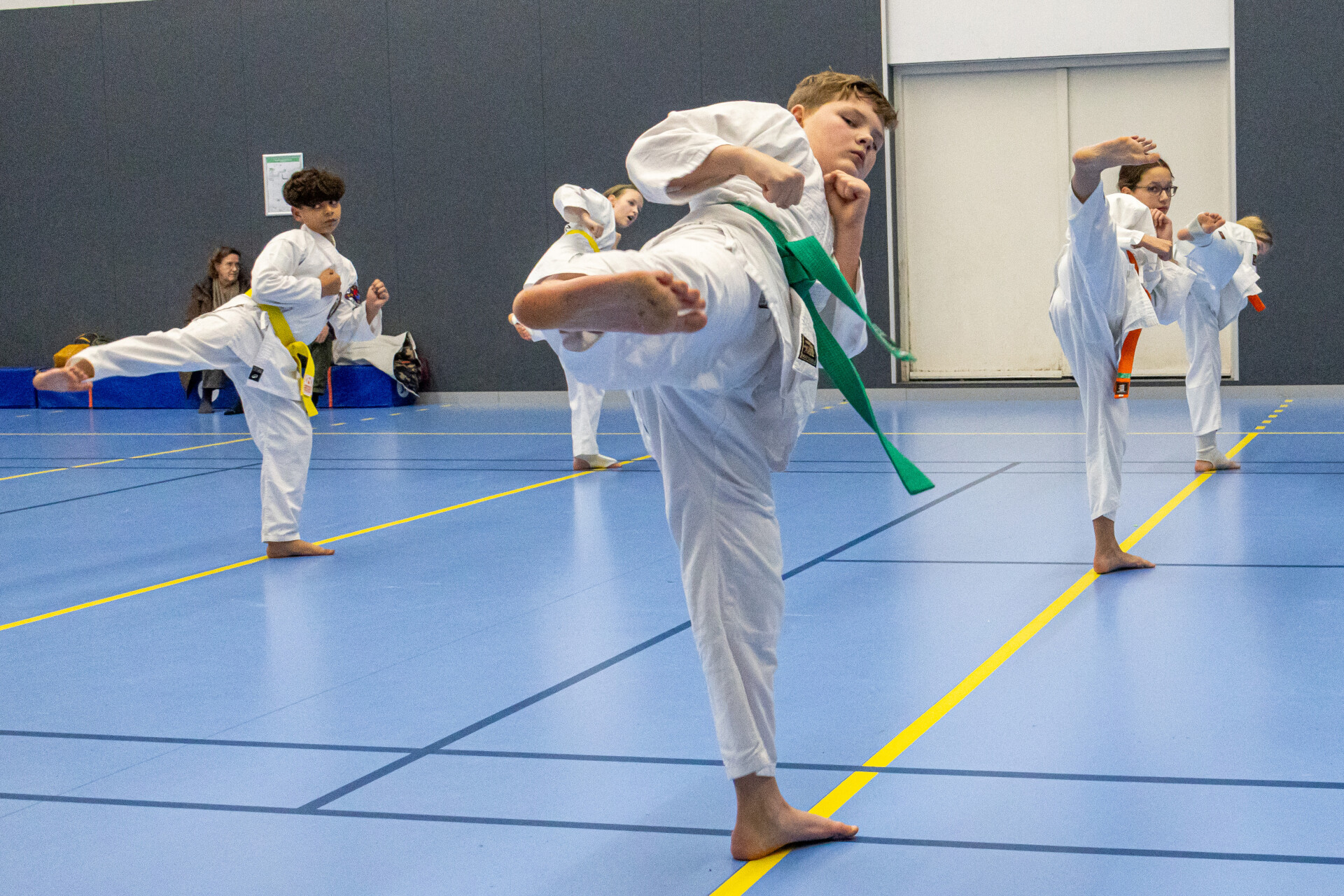Main image of Hun Shin - Tang Soo Do
