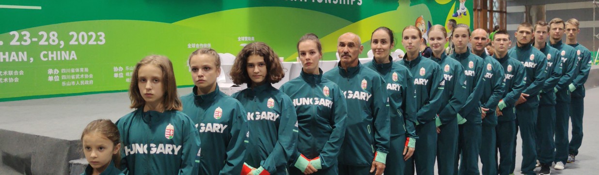 Main image of Hungary Wushu Team