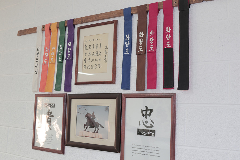 Main image of Hwa Rang Do Private Academy