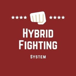 Main image of Hybrid Fighting System