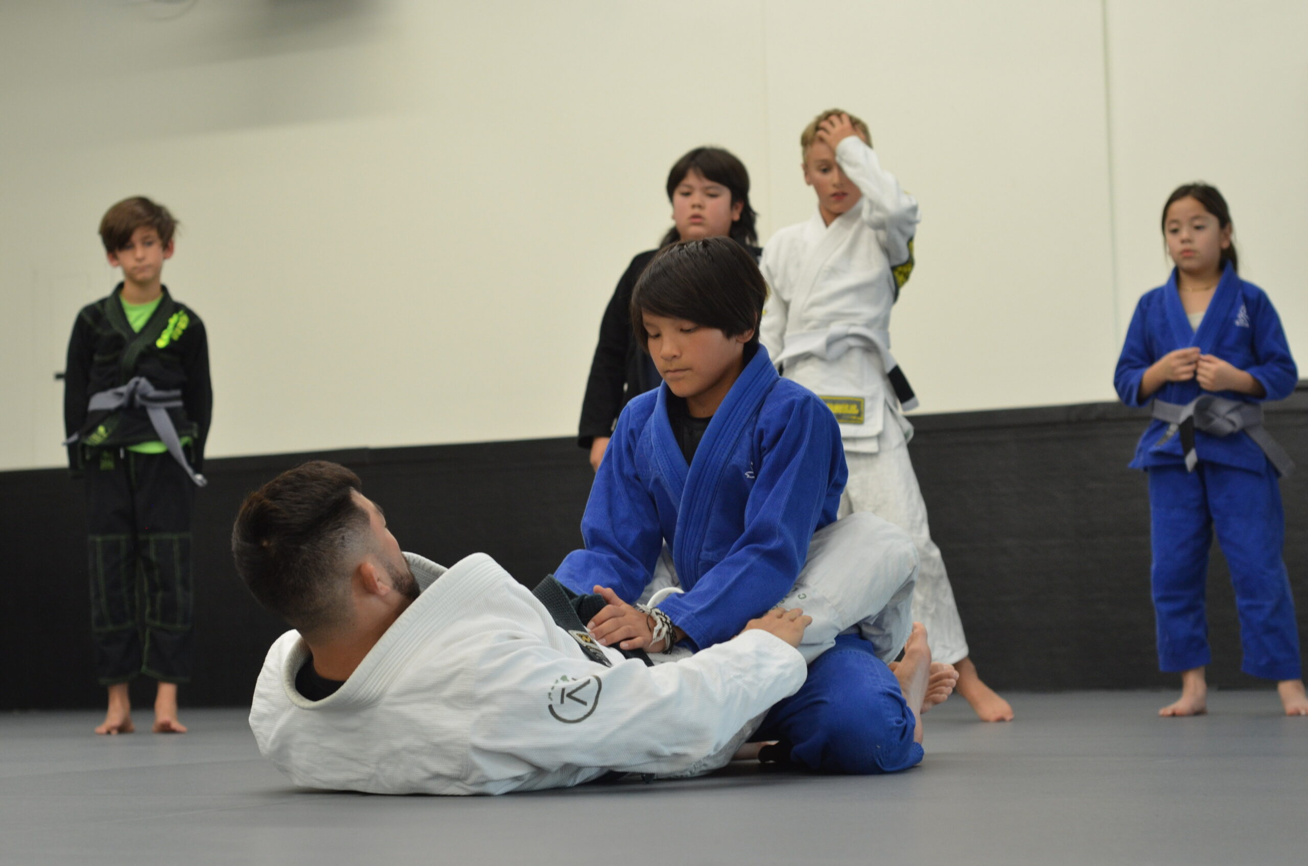 Main image of Hybrid Jiujitsu