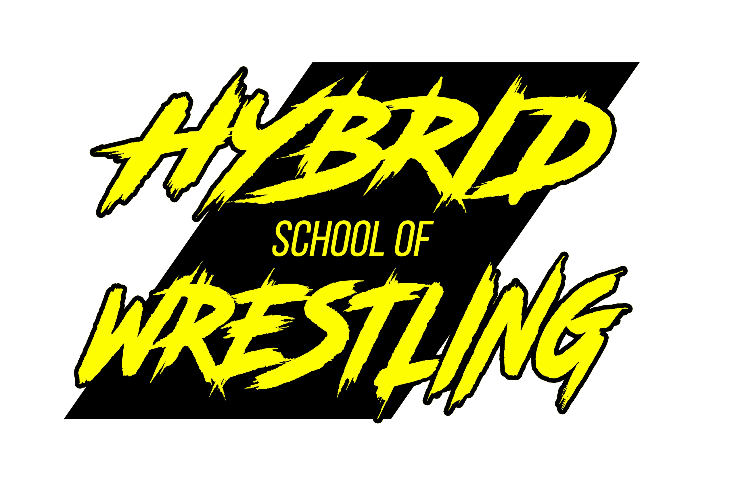 Hybrid School of Wrestling