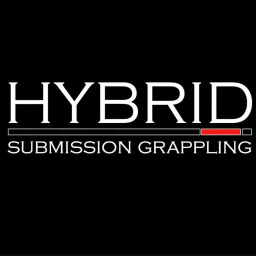 Main image of Hybrid Submission Grappling