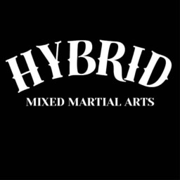 Main image of hybridmma