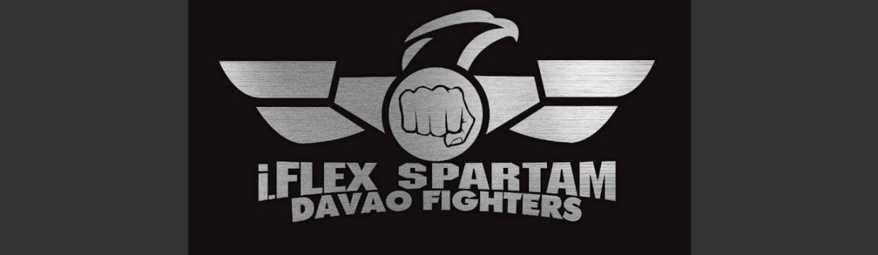 Main image of i.Flex grapplers