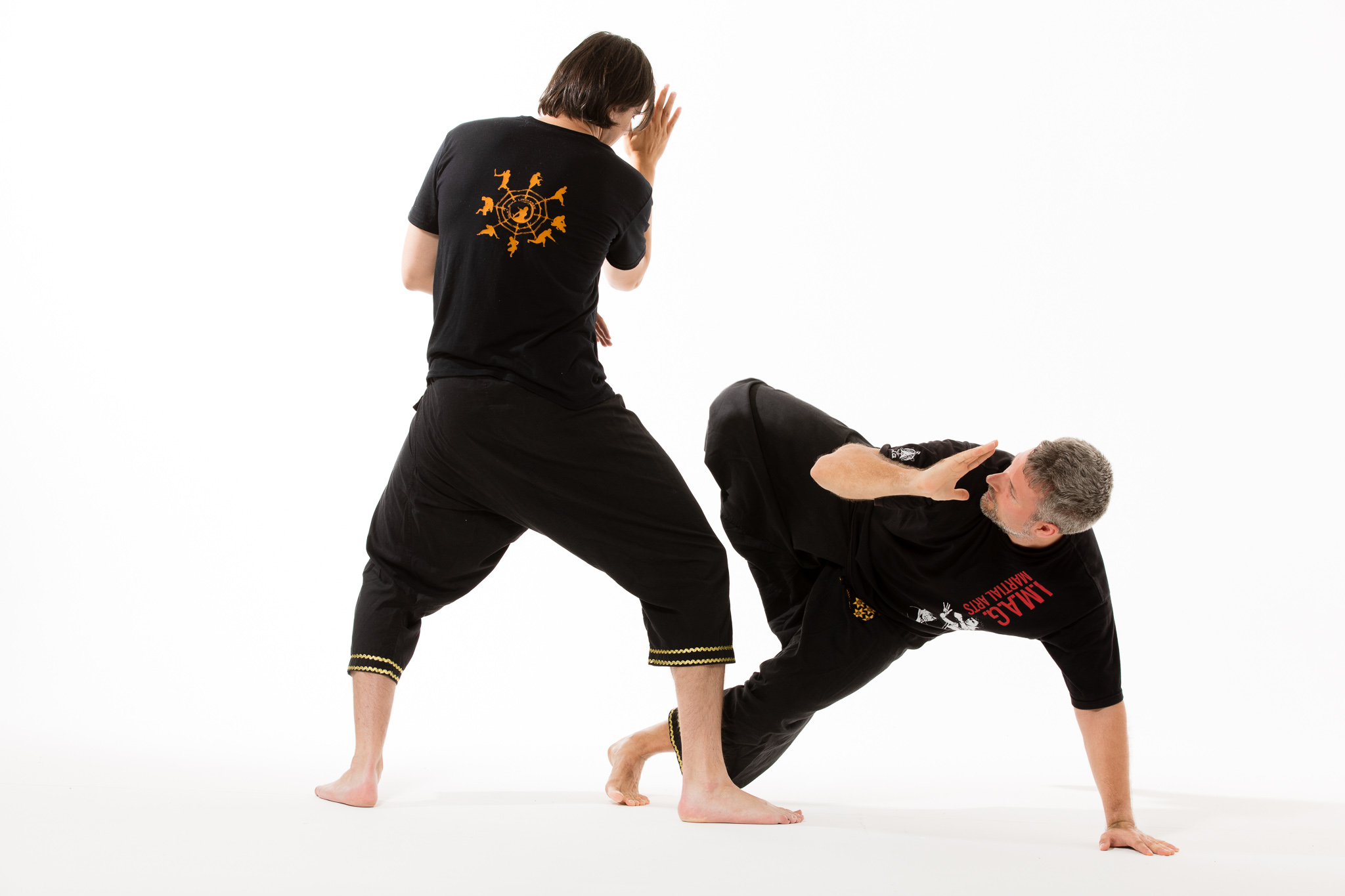 Main image of I.M.A.G. - Ivanic Martial Arts Group