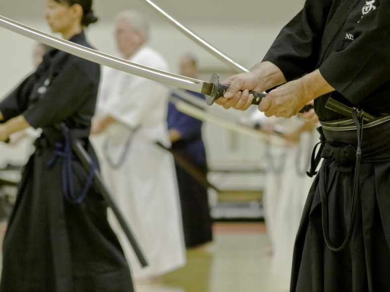 Main image of Iaido Pordenone