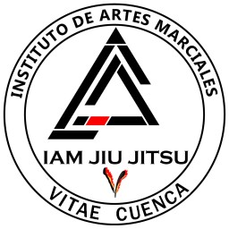 Main image of IAM VITAE CUENCA