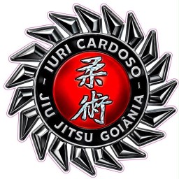 Main image of ICBJJ