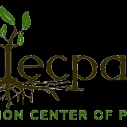 Main image of IECPA